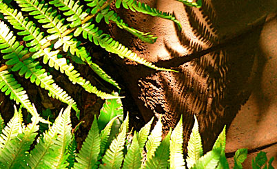 为企业保驾护航的网页攻击器教程